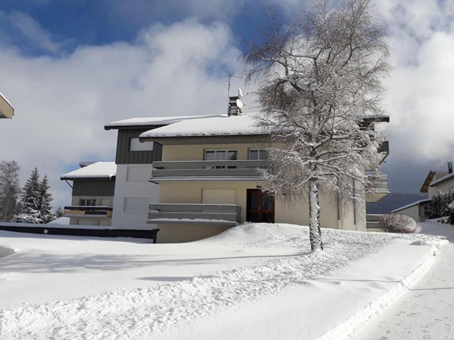 Le Chalain Cosy Proche Centre Ville Ле Рус Екстериор снимка